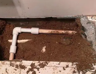 嵊泗测漏水哪家好