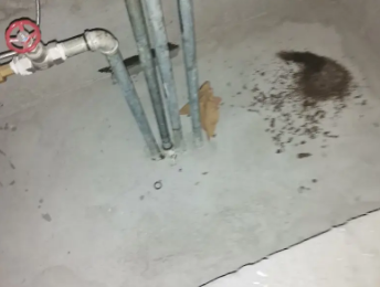 嵊泗卫生间测漏水价格明细