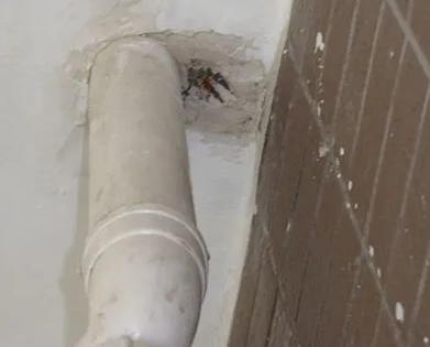 嵊泗漏水检测哪家好